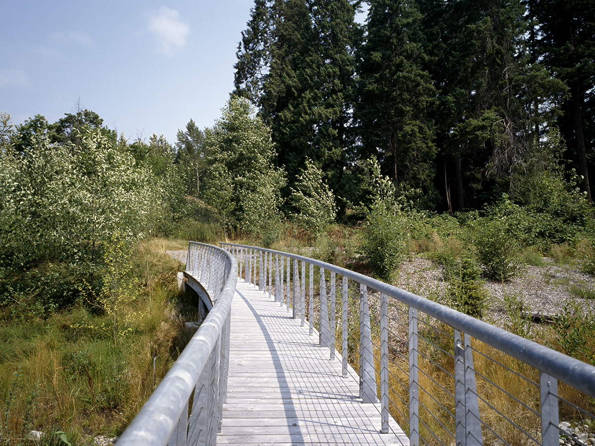 Bridge